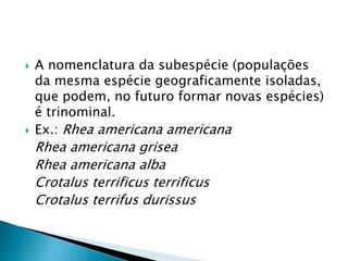  A nomenclatura da subespécie (populações
da mesma espécie geograficamente isoladas,
que podem, no futuro formar novas espécies)
é trinominal.
 Ex.: Rhea americana americana
Rhea americana grisea
Rhea americana alba
Crotalus terrificus terrificus
Crotalus terrifus durissus
 