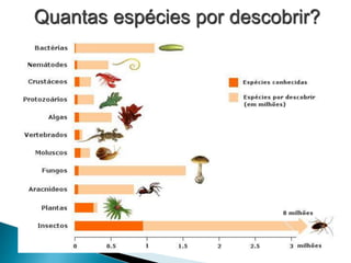 Quantas espécies por descobrir?
 