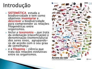 Introdução
 SISTEMÁTICA estuda a
biodiversidade e tem como
objetivos inventariar e
descrever a biodiversidade
para compreender as relações
filogenéticas entre
organismos.
 Inclui a taxonomia - que trata
da ordenação (classificação) e
denominação (nomenclatura)
dos seres vivos, agrupando-
os de acordo com o seu grau
de semelhança
 e a filogenia - ciência que
trata das relações evolutivas
entre os organismos.
 