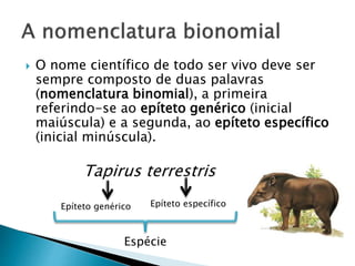  O nome científico de todo ser vivo deve ser
sempre composto de duas palavras
(nomenclatura binomial), a primeira
referindo-se ao epíteto genérico (inicial
maiúscula) e a segunda, ao epíteto específico
(inicial minúscula).
Tapirus terrestris
Epíteto genérico Epíteto específico
Espécie
 