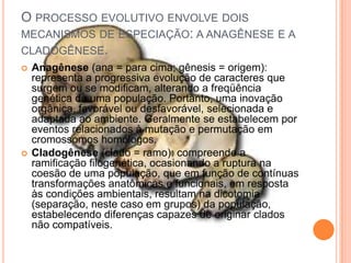 O PROCESSO EVOLUTIVO ENVOLVE DOIS
MECANISMOS DE ESPECIAÇÃO: A ANAGÊNESE E A
CLADOGÊNESE.
 Anagênese (ana = para cima; gênesis = origem):
representa a progressiva evolução de caracteres que
surgem ou se modificam, alterando a freqüência
genética de uma população. Portanto, uma inovação
orgânica, favorável ou desfavorável, selecionada e
adaptada ao ambiente. Geralmente se estabelecem por
eventos relacionados à mutação e permutação em
cromossomos homólogos.
 Cladogênese (clado = ramo): compreende a
ramificação filogenética, ocasionando a ruptura na
coesão de uma população, que em função de contínuas
transformações anatômicas e funcionais, em resposta
às condições ambientais, resultam na dicotomia
(separação, neste caso em grupos) da população,
estabelecendo diferenças capazes de originar clados
não compatíveis.
 