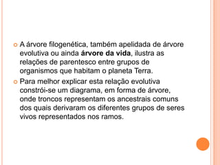  A árvore filogenética, também apelidada de árvore
evolutiva ou ainda árvore da vida, ilustra as
relações de parentesco entre grupos de
organismos que habitam o planeta Terra.
 Para melhor explicar esta relação evolutiva
constrói-se um diagrama, em forma de árvore,
onde troncos representam os ancestrais comuns
dos quais derivaram os diferentes grupos de seres
vivos representados nos ramos.
 