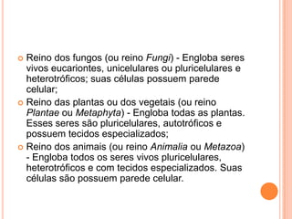  Reino dos fungos (ou reino Fungi) - Engloba seres
vivos eucariontes, unicelulares ou pluricelulares e
heterotróficos; suas células possuem parede
celular;
 Reino das plantas ou dos vegetais (ou reino
Plantae ou Metaphyta) - Engloba todas as plantas.
Esses seres são pluricelulares, autotróficos e
possuem tecidos especializados;
 Reino dos animais (ou reino Animalia ou Metazoa)
- Engloba todos os seres vivos pluricelulares,
heterotróficos e com tecidos especializados. Suas
células são possuem parede celular.
 