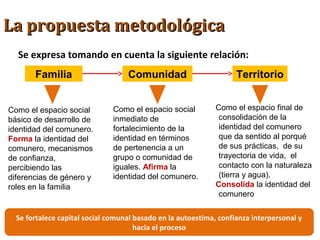 La propuesta metodológicaLa propuesta metodológica
Se expresa tomando en cuenta la siguiente relación:
Familia Comunidad Territorio
Como el espacio social
básico de desarrollo de
identidad del comunero.
Forma la identidad del
comunero, mecanismos
de confianza,
percibiendo las
diferencias de género y
roles en la familia
Como el espacio social
inmediato de
fortalecimiento de la
identidad en términos
de pertenencia a un
grupo o comunidad de
iguales. Afirma la
identidad del comunero.
Como el espacio final de
consolidación de la
identidad del comunero
que da sentido al porqué
de sus prácticas, de su
trayectoria de vida, el
contacto con la naturaleza
(tierra y agua).
Consolida la identidad del
comunero
Se fortalece capital social comunal basado en la autoestima, confianza interpersonal y
hacia el proceso
 