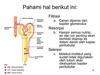 18
Pahami hal berikut ini:
Filtrasi
a. Cairan diperas dari
kapiler glomerulus
Resorpsi
b. Hampir semua nutrisi,
air dan ion penting akan
kembali diserap ke
dalam darah oleh kapier
peritubular
Sekresi
c. Molekul-molekul yang
sudah tidak digunakan
oleh tubuh akan
dikeluarkan kapiler
peritubular
 