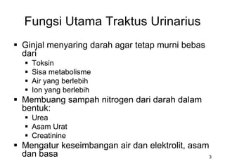 3
Fungsi Utama Traktus Urinarius
 Ginjal menyaring darah agar tetap murni bebas
dari
 Toksin
 Sisa metabolisme
 Air yang berlebih
 Ion yang berlebih
 Membuang sampah nitrogen dari darah dalam
bentuk:
 Urea
 Asam Urat
 Creatinine
 Mengatur keseimbangan air dan elektrolit, asam
dan basa
 