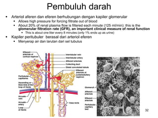 32
Pembuluh darah
 Arteriol aferen dan eferen berhubungan dengan kapiler glomerular
 Allows high pressure for forcing filtrate out of blood
 About 20% of renal plasma flow is filtered each minute (125 ml/min): this is the
glomerular filtration rate (GFR), an important clinical measure of renal function
 This is about one liter every 8 minutes (only 1% ends up as urine)
 Kapiler peritubuler berasal dari arteriol eferen
 Menyerap air dan larutan dari sel tubulus
 