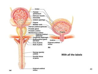 49
With all the labels
 