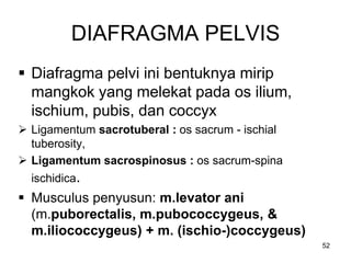 DIAFRAGMA PELVIS
 Diafragma pelvi ini bentuknya mirip
mangkok yang melekat pada os ilium,
ischium, pubis, dan coccyx
 Ligamentum sacrotuberal : os sacrum - ischial
tuberosity,
 Ligamentum sacrospinosus : os sacrum-spina
ischidica.
 Musculus penyusun: m.levator ani
(m.puborectalis, m.pubococcygeus, &
m.iliococcygeus) + m. (ischio-)coccygeus)
52
 