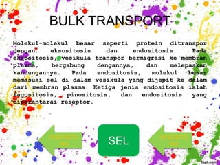 BULK TRANSPORT
Molekul-molekul besar seperti protein ditranspor
dengan    eksositosis     dan     endositosis.     Pada
eksositosis, vesikula transpor bermigrasi ke membran
plasma,   bergabung    dengannya,     dan    melepaskan
kandungannya.   Pada   endositosis,     molekul   besar
memasuki sel di dalam vesikula yang dijepit ke dalam
dari membran plasma. Ketiga jenis endositosis ialah
fagositosis,   pinositosis,   dan    endositosis   yang
diperantarai reseptor.




          ENDOSITO                       EKSOSITO
             SIS          SEL               SIS
 
