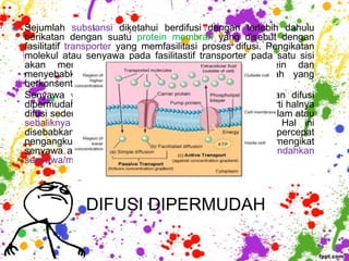 Sejumlah substansi diketahui berdifusi dengan terlebih dahulu
berikatan dengan suatu protein membran yang disebut dengan
fasilitatif transporter yang memfasilitasi proses difusi. Pengikatan
molekul atau senyawa pada fasilitastif transporter pada satu sisi
akan memicu perubahan komformasi pada protein dan
menyebabkan zat terlarut dapat berdifusi ke daerah yang
berkonsentrasi rendah.
Senyawa yang melewati membran plasma dengan jalan difusi
dipermudah juga tidak memerlukan keterlibatan ATP, seperti halnya
difusi sederhana. Namun gerakan senyawa dari luar ke dalam atau
sebaliknya lebih cepat dari pada difusi sederhana. Hal ini
disebabkan oleh adanya protein pembawa yang mempercepat
pengangkutan. Molekul protein pembawa setelah mengikat
senyawa atau molekul yang akan di bawa, segera memindahkan
senyawa/molekul dari luar ke dalam atau sebaliknya.



              DIFUSI DIPERMUDAH
 