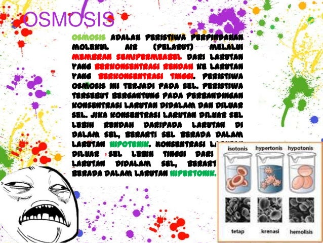 Sistem transpor membran