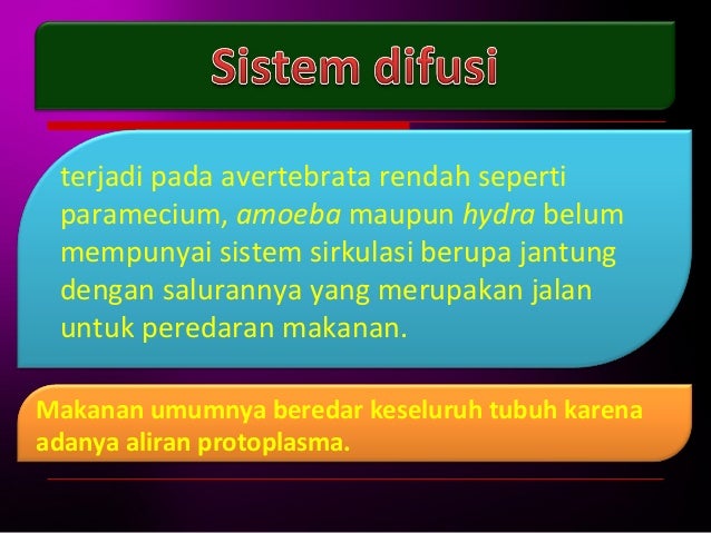 Sistem transportasi pada hewan