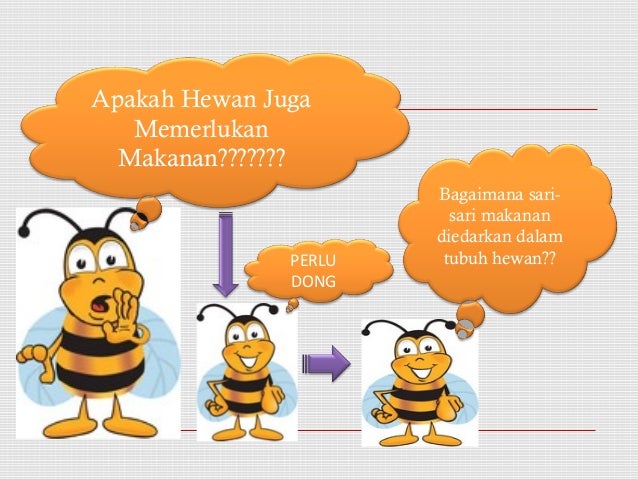 Sistem Transportasi Pada Hewan 15973985