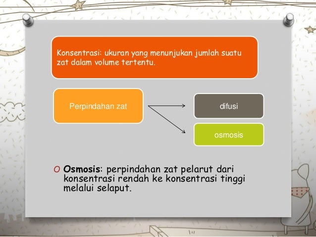 Transportasi Sel Tumbuhan & Hewan