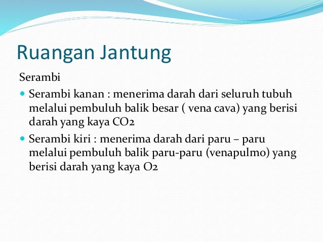 Darah Yang Kaya Co2 Terdapat Pada Ruangan Jantung - Berbagai Ruang