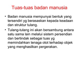Tuas-tuas badan manusia
• Badan manusia mempunyai bentuk yang
  tersendiri yg berasaskan kepada keadaan
  dan struktur tulang.
• Tulang-tulang ini akan bersambung antara
  satu sama lain melalui sistem persendian
  dan bertindak sebagai tuas yg
  memindahkan tenaga otot terhadap objek
  yang menghasilkan pergerakan.
 
