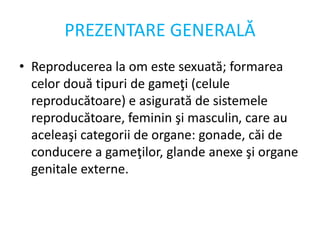 PREZENTARE GENERALĂ
• Reproducerea la om este sexuată; formarea
celor două tipuri de gameţi (celule
reproducătoare) e asigurată de sistemele
reproducătoare, feminin şi masculin, care au
aceleaşi categorii de organe: gonade, căi de
conducere a gameţilor, glande anexe şi organe
genitale externe.
 