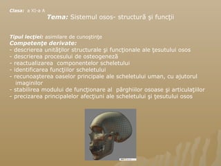 Clasa: a XI-a A
Tema: Sistemul osos- structură şi funcţii
Tipul lecţiei: asimilare de cunoştinţe
Competenţe derivate:
- descrierea unităţilor structurale şi funcţionale ale ţesutului osos
- descrierea procesului de osteogeneză
- reactualizarea componentelor scheletului
- identificarea funcţiilor scheletului
- recunoaşterea oaselor principale ale scheletului uman, cu ajutorul
imaginilor
- stabilirea modului de funcţionare al pârghiilor osoase şi articulaţiilor
- precizarea principalelor afecţiuni ale scheletului şi ţesutului osos
 