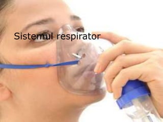 Sistemul respirator
 