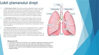 Sistemul_respirator_la_om[1].pptx .pptxPrezentare PPt | PPTX