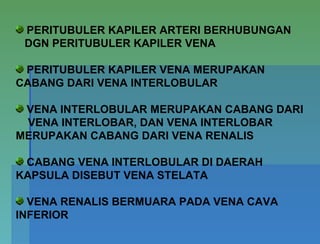 PERITUBULER KAPILER ARTERI BERHUBUNGAN
DGN PERITUBULER KAPILER VENA
PERITUBULER KAPILER VENA MERUPAKAN
CABANG DARI VENA INTERLOBULAR
VENA INTERLOBULAR MERUPAKAN CABANG DARI
VENA INTERLOBAR, DAN VENA INTERLOBAR
MERUPAKAN CABANG DARI VENA RENALIS
CABANG VENA INTERLOBULAR DI DAERAH
KAPSULA DISEBUT VENA STELATA
VENA RENALIS BERMUARA PADA VENA CAVA
INFERIOR
 