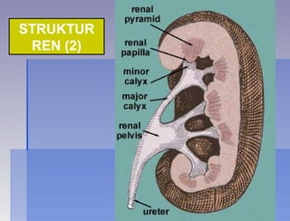 STRUKTUR
REN (2)
 