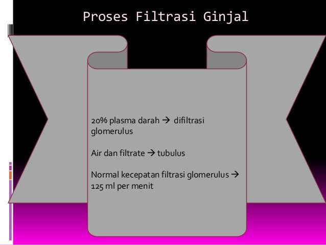 Sistem urinaria