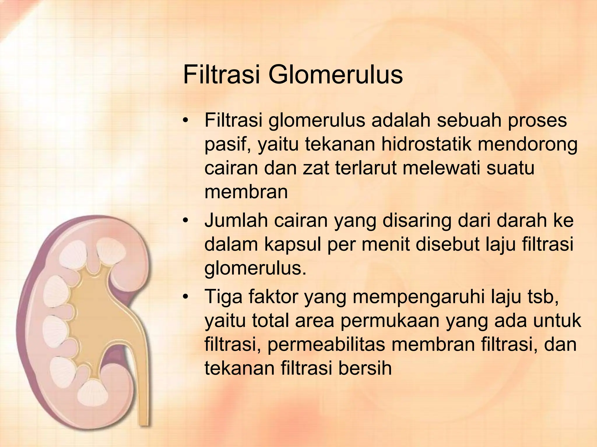 HISTOLOGI - Sistem - Urinaria DAN FUNGSI GINJAL.ppt