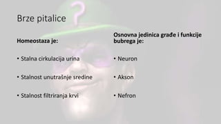 Brze pitalice
Homeostaza je:
• Stalna cirkulacija urina
• Stalnost unutrašnje sredine
• Stalnost filtriranja krvi
Osnovna jedinica građe i funkcije
bubrega je:
• Neuron
• Akson
• Nefron
 