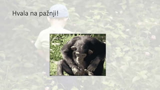 Hvala na pažnji!
 