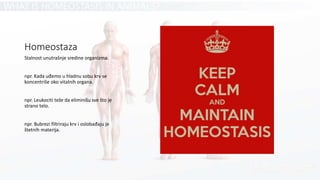 Homeostaza
Stalnost unutrašnje sredine organizma.
npr. Kada uđemo u hladnu sobu krv se
koncentriše oko vitalnih organa.
npr. Leukociti teže da eliminišu sve što je
strano telo.
npr. Bubrezi filtriraju krv i oslobađaju je
štetnih materija.
 