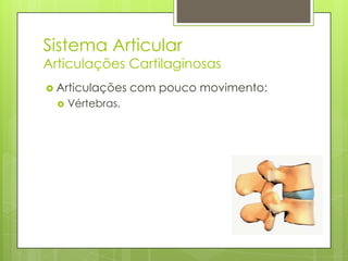 Sistema Articular

Articulações Cartilaginosas
 Articulações


Vértebras.

com pouco movimento:

 