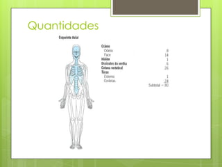Quantidades

 