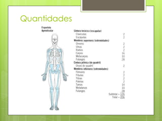 Quantidades

 