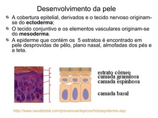 Desenvolvimento da pele
A cobertura epitelial, derivados e o tecido nervoso originamse do ectoderma;
O tecido conjuntivo e os elementos vasculares originam-se
do mesoderma.
A epiderme que contém os 5 estratos é encontrado em
pele desprovidas de pêlo, plano nasal, almofadas dos pés e
a teta.

http://www.saudetotal.com/prevencao/topicos/histoepiderme.asp

 