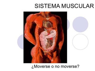 Sistema locomotor