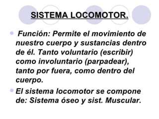 Sistema locomotor