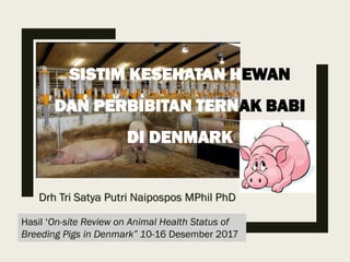 Drh Tri Satya Putri Naipospos MPhil PhD
SISTIM KESEHATAN HEWAN
DAN PERBIBITAN TERNAK BABI
DI DENMARK
Hasil ‘On-site Review on Animal Health Status of
Breeding Pigs in Denmark” 10-16 Desember 2017
 
