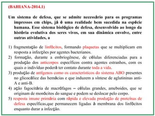 (BAHIANA-2014.1)
Um sistema de defesa, que se admite necessário para os programas
impressos em chips, já é uma realidade bem sucedida na espécie
humana. Esse sistema biológico de defesa, desenvolvido ao longo da
história evolutiva dos seres vivos, em sua dinâmica envolve, entre
outras atividades, a
1) fragmentação de linfócitos, formando plaquetas que se multiplicam em
resposta a infecções por agentes bacterianos.
2) formação, durante a embriogênese, de células diferenciadas para a
produção dos anticorpos específicos contra agentes estranhos, com os
quais o indivíduo poderá ter contato durante toda a vida.
3) produção de antígenos como os característicos do sistema ABO presentes
no glicocálice das hemácias e que induzem a síntese de aglutininas anti-
A e anti-B.
4) ação fagocitária de macrófagos – células grandes, ameboides, que se
originam de monócitos do sangue e podem se deslocar pelo corpo.
5) resposta imune primária com rápida e elevada produção de proteínas de
defesa específicas,que permanecem ligadas à membrana dos linfócitos
enquanto durar a infecção.
 