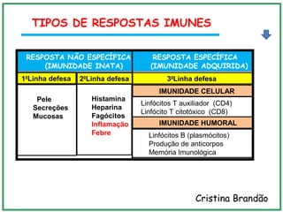 RESPOSTA NÃO ESPECÍFICA
(IMUNIDADE INATA)
RESPOSTA ESPECÍFICA
(IMUNIDADE ADQUIRIDA)
10
Linha defesa 20
Linha defesa
Pele
Secreções
Mucosas
Histamina
Heparina
Fagócitos
Inflamação
Febre
30
Linha defesa
IMUNIDADE CELULAR
Linfócitos B (plasmócitos)
Produção de anticorpos
Memória Imunológica
Linfócitos T auxiliador (CD4)
Linfócito T citotóxico (CD8)
IMUNIDADE HUMORAL
TIPOS DE RESPOSTAS IMUNES
Cristina Brandão
 