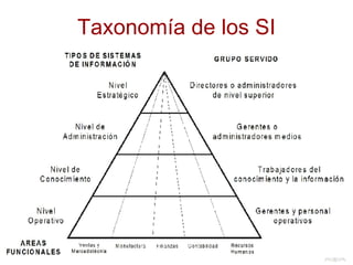 Taxonomía de los SI 