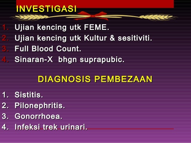 SISTITIS, PROSTATITIS AKUT, ORKITIS & EPIDIDIMITIS