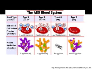 http://learn.genetics.utah.edu/units/basics/blood/types.cfm 