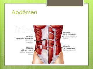 Abdômen

 