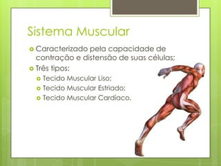 Sistema Muscular
 Caracterizado

pela capacidade de
contração e distensão de suas células;
 Três tipos:




Tecido Muscular Liso;
Tecido Muscular Estriado;
Tecido Muscular Cardíaco.

 