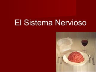El Sistema Nervioso
 