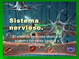 Sistema nervioso. El sistema nervioso abarca el sistema nervioso central y periférico. 