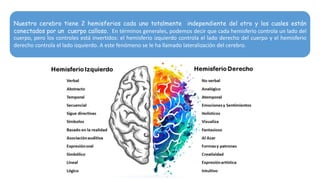 Nuestro cerebro tiene 2 hemisferios cada uno totalmente independiente del otro y los cuales están
conectados por un cuerpo calloso. En términos generales, podemos decir que cada hemisferio controla un lado del
cuerpo, pero los controles está invertidos: el hemisferio izquierdo controla el lado derecho del cuerpo y el hemisferio
derecho controla el lado izquierdo. A este fenómeno se le ha llamado lateralización del cerebro.
 