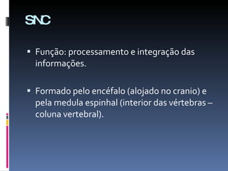 SNC Função: processamento e integração das informações. Formado pelo encéfalo (alojado no cranio) e pela medula espinhal (interior das vértebras – coluna vertebral). 